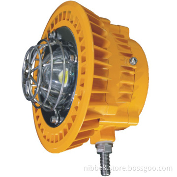 Explosion Proof Atex LED Light
